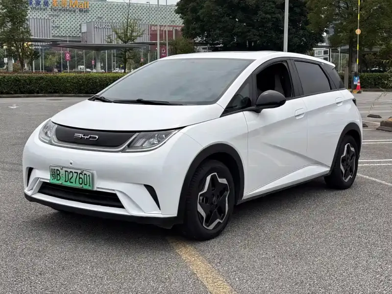 BYD Dolphin, 2021
