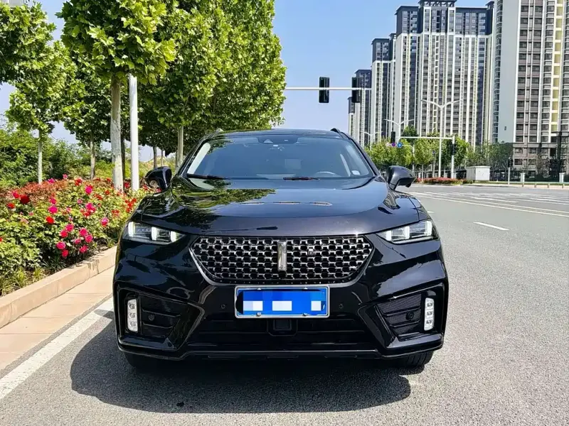 Wey VV7, 2019