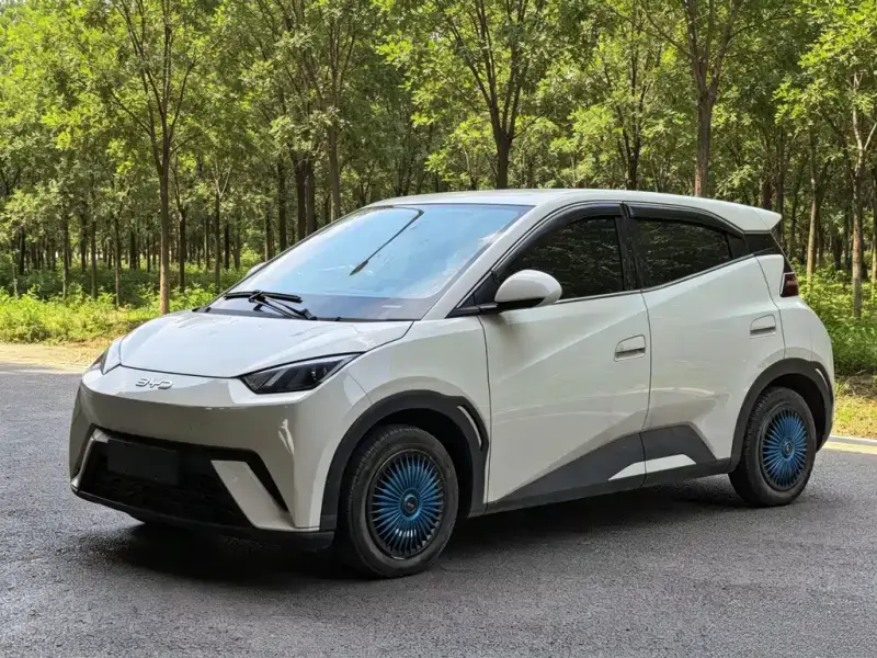 BYD Seagull, 2025