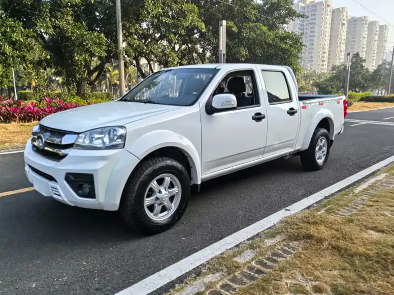 Great Wall Fengjun 5, 2021