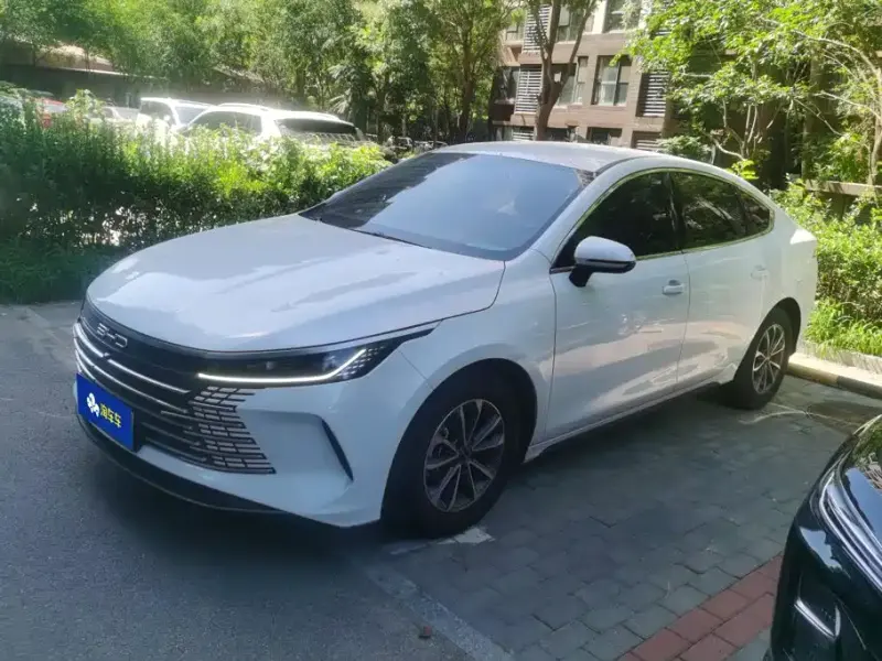 BYD Destroyer 05, 2024