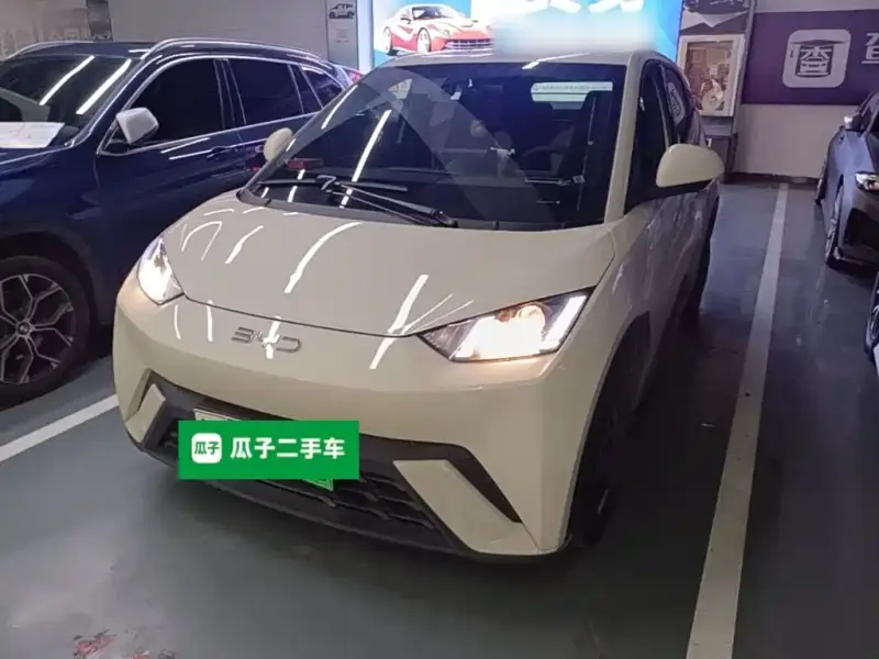 BYD Seagull, 2024