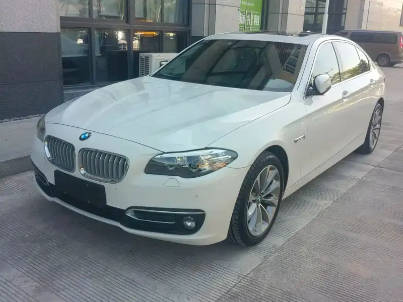 BMW 5 Series, 2014 — фото 1