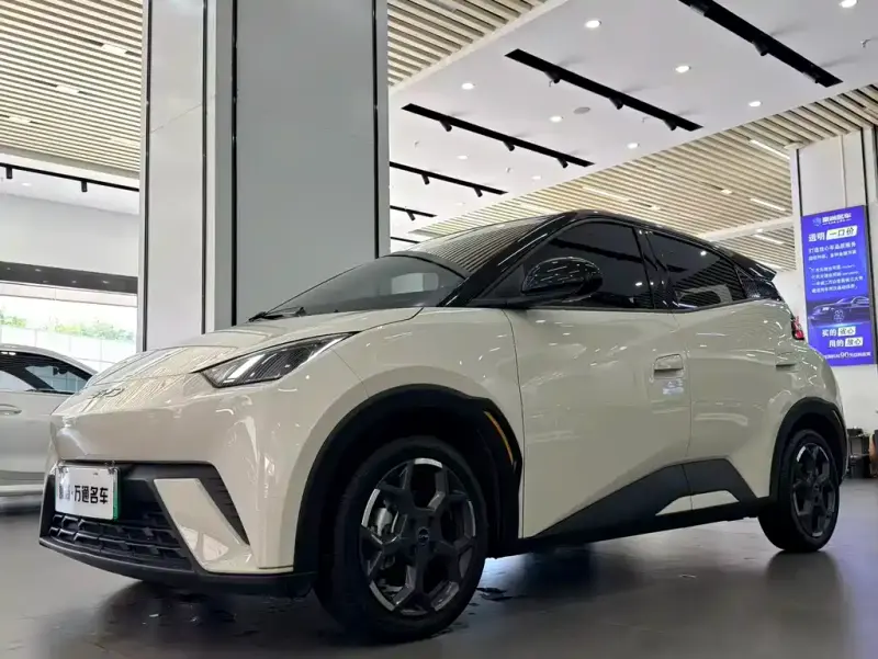 BYD Seagull, 2024