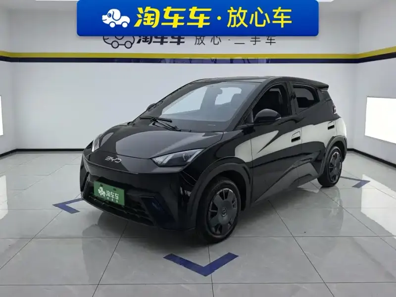 BYD Seagull, 2024