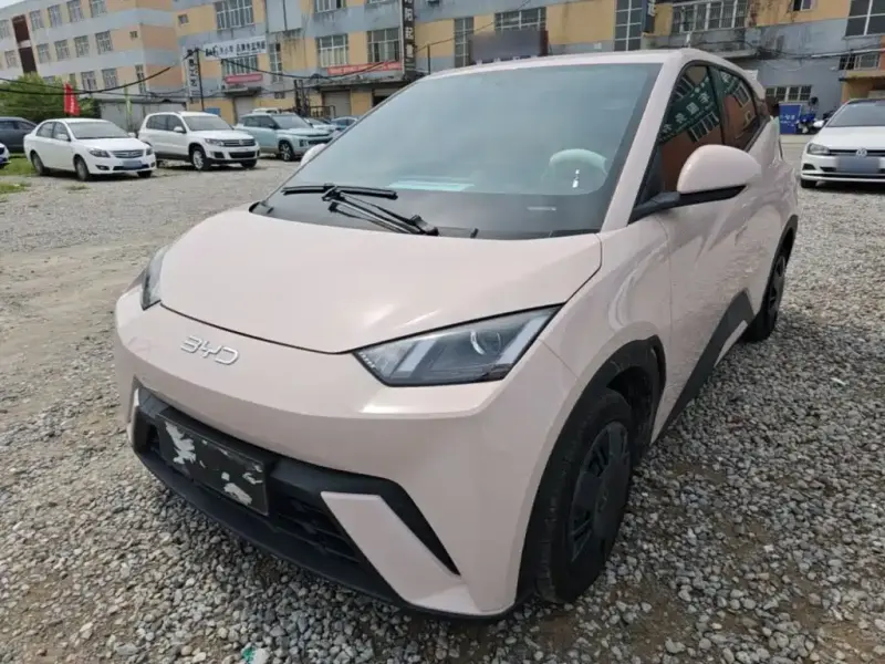 BYD Seagull, 2024