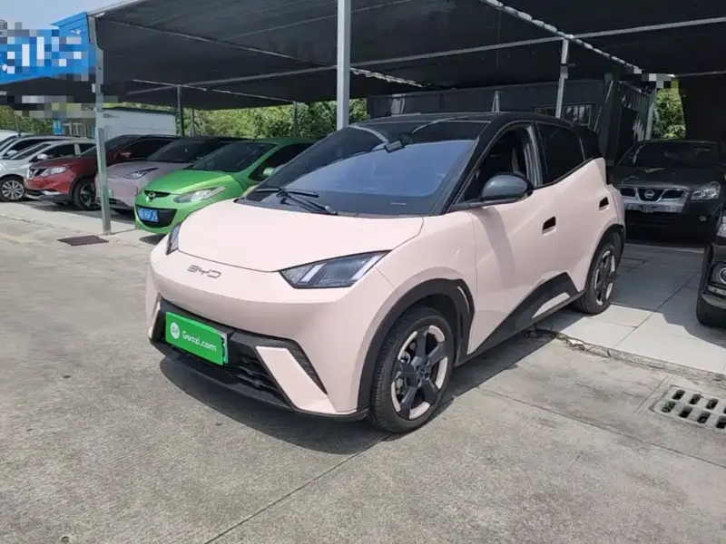 BYD Seagull, 2023