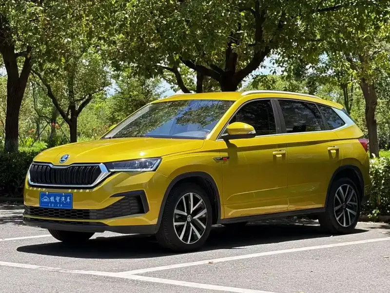 Skoda Kamiq, 2021 — фото 1