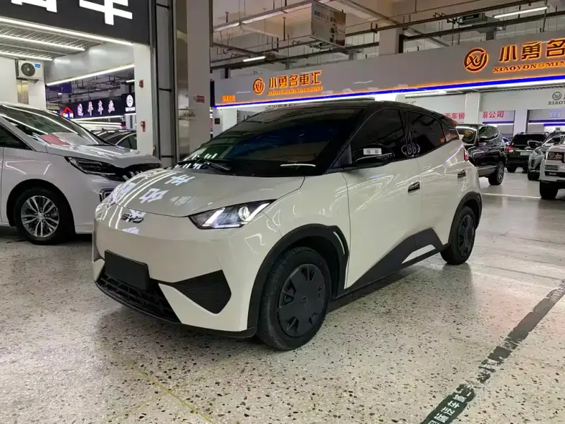 BYD Seagull, 2025