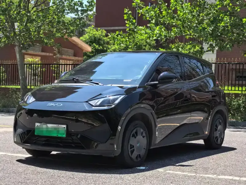 BYD Seagull, 2025