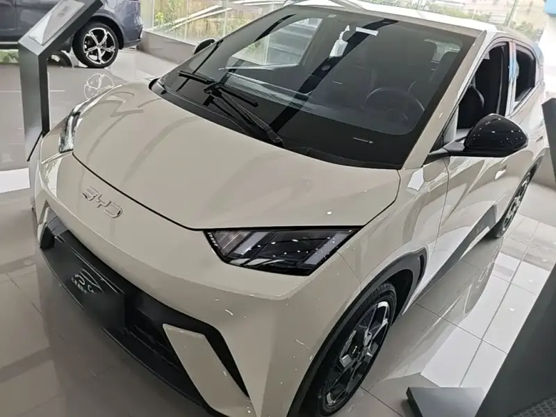 BYD Seagull, 2024
