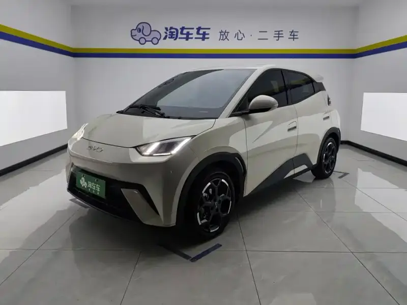 BYD Seagull, 2025