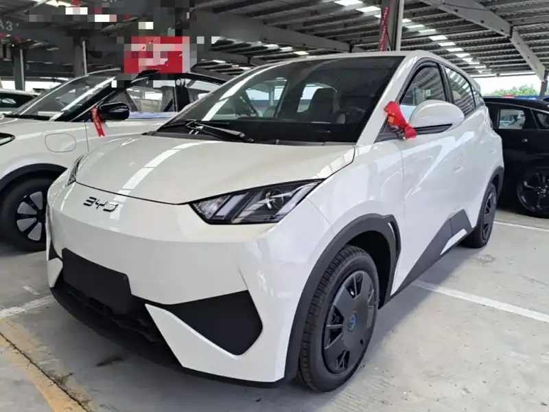 BYD Seagull, 2026