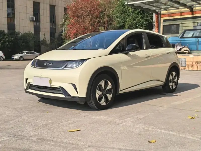 BYD Dolphin, 2025