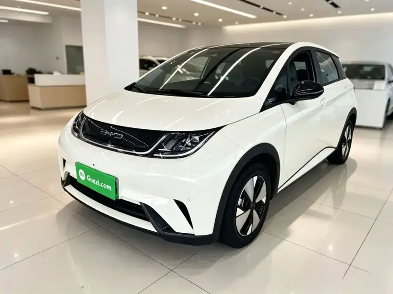 BYD Dolphin, 2023