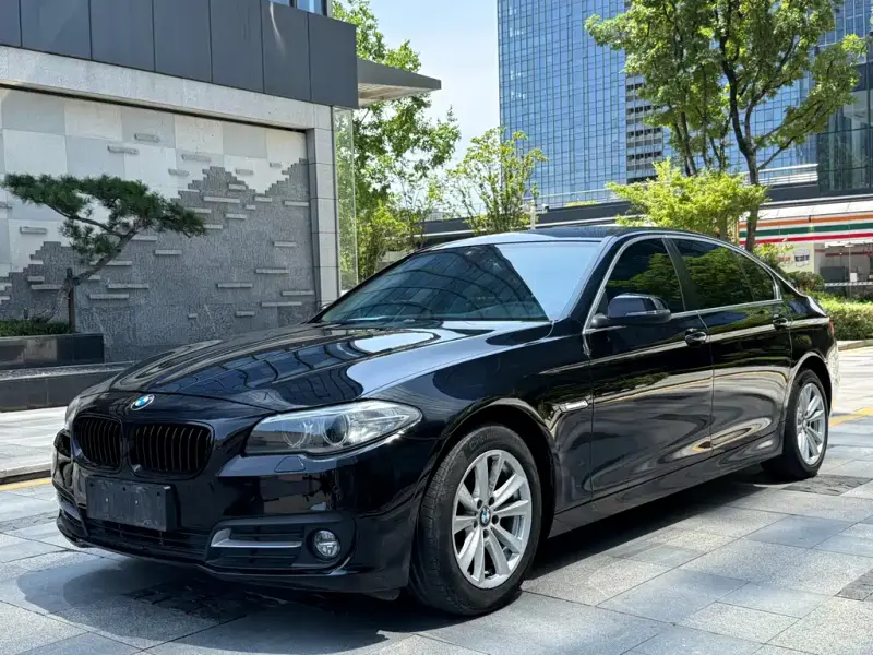 BMW 5 Series, 2016 — фото 1