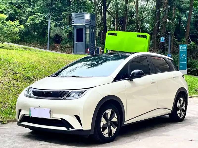 BYD Dolphin, 2024