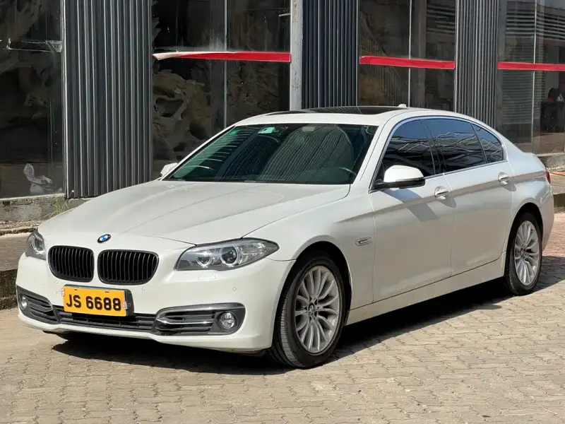 BMW 5 Series, 2014