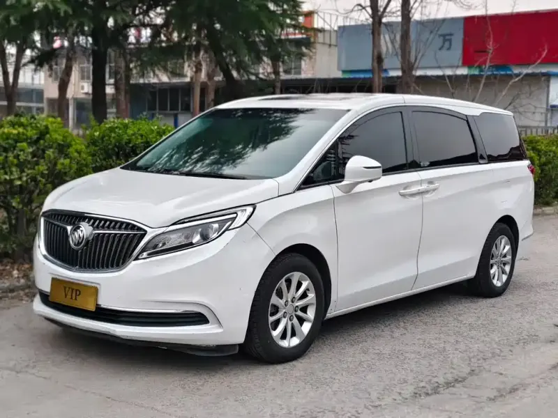 Buick GL8, 2019