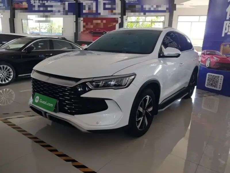 BYD Pro New Energy, 2024 — фото 1