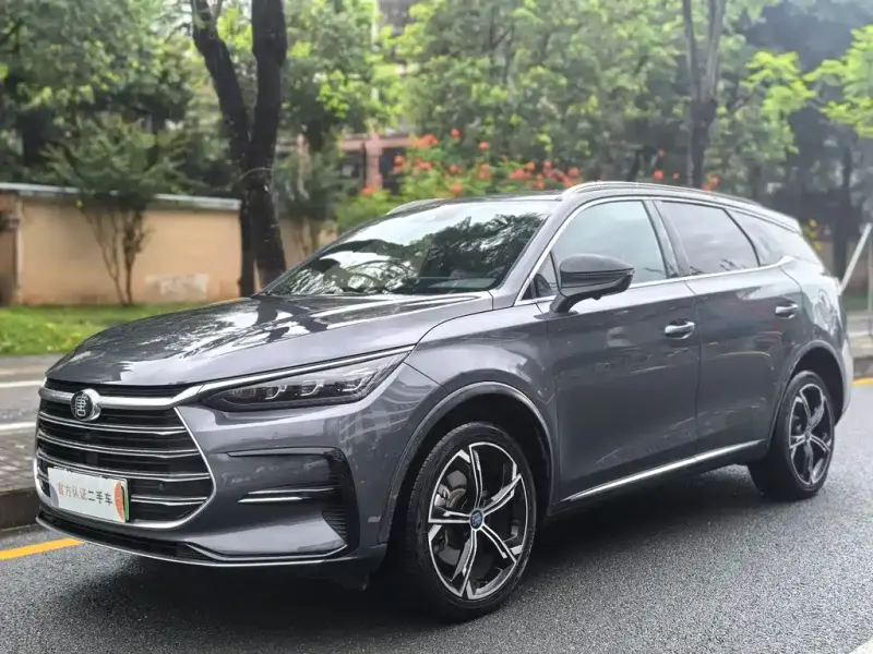 BYD Tang New Energy, 2020