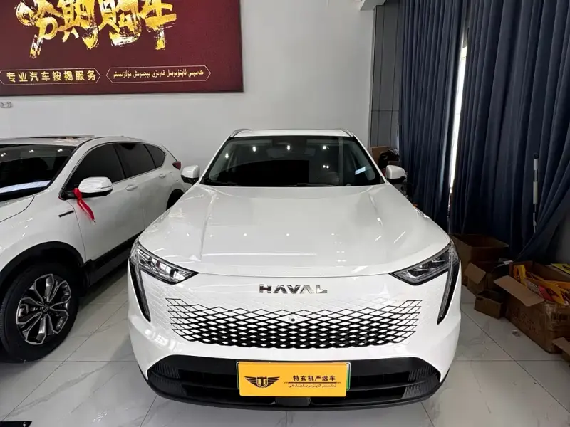 Haval Xiaolong, 2023