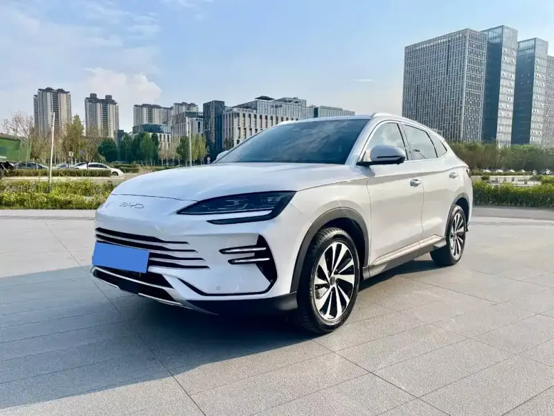 BYD PLUS New Energy, 2024 — фото 1