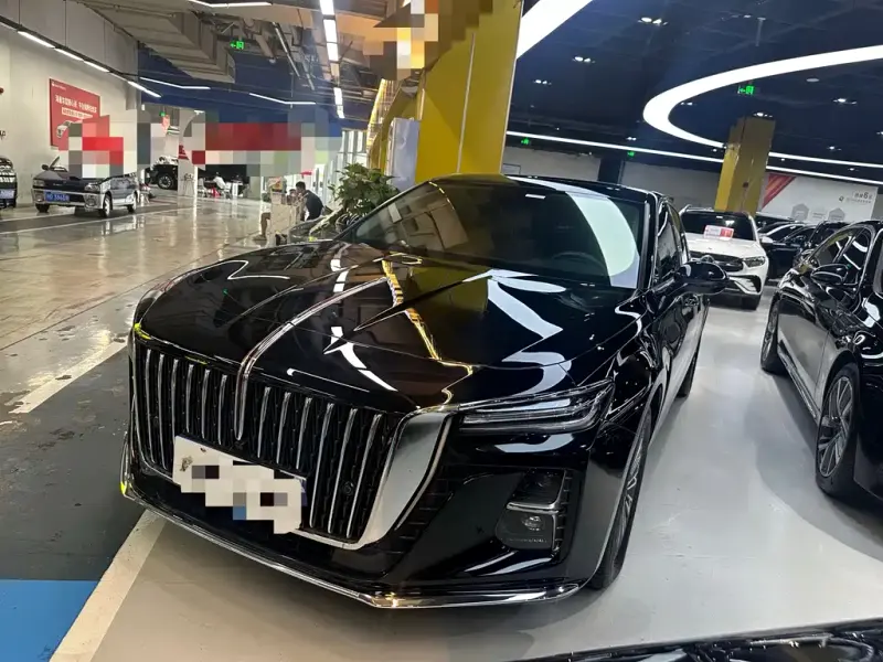 Hongqi H5, 2024