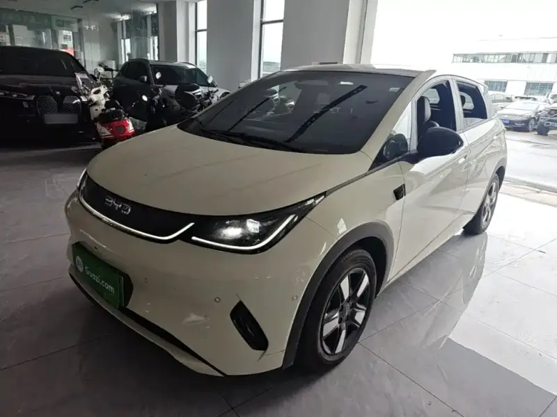BYD Dolphin, 2025