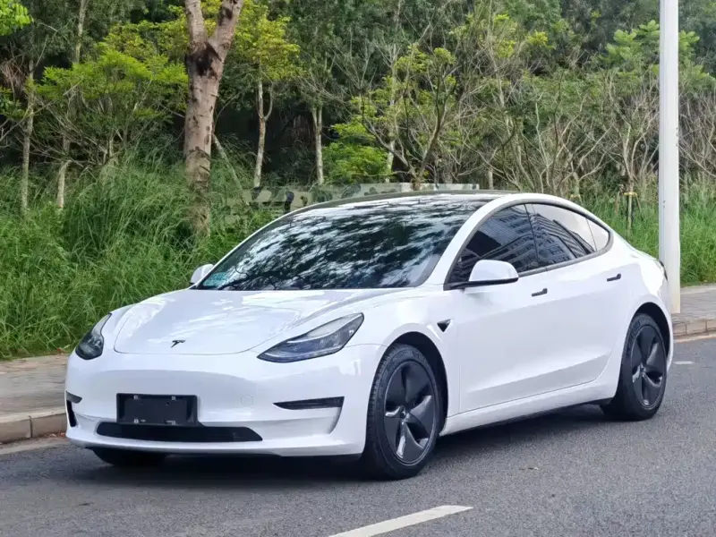 Tesla Model 3, 2020