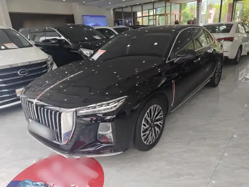 Hongqi H5, 2024