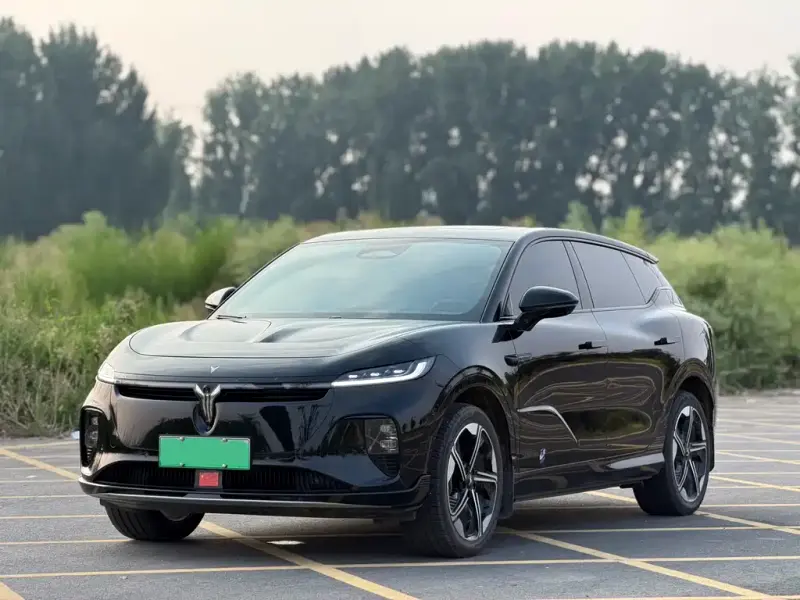 VOYAH Zhiyin, 2025