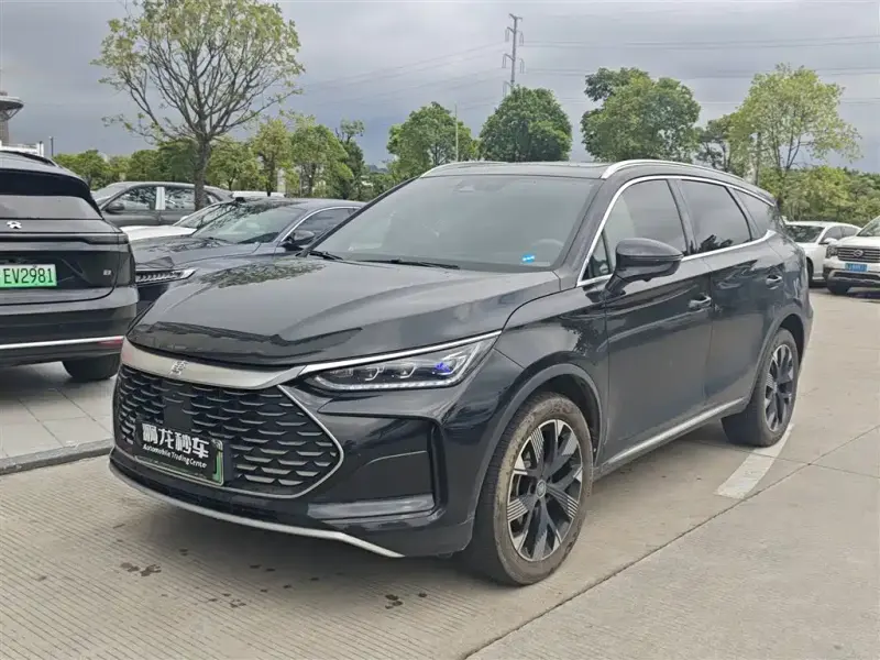 BYD Tang New Energy, 2024