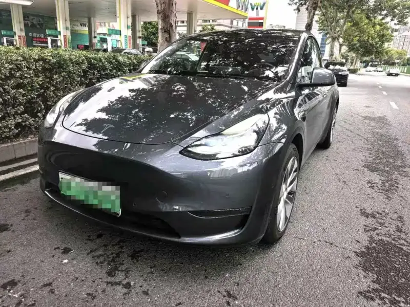 Tesla Model Y, 2021