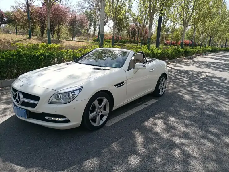 Mercedes-Benz SLK-Class, 2014 — фото 1