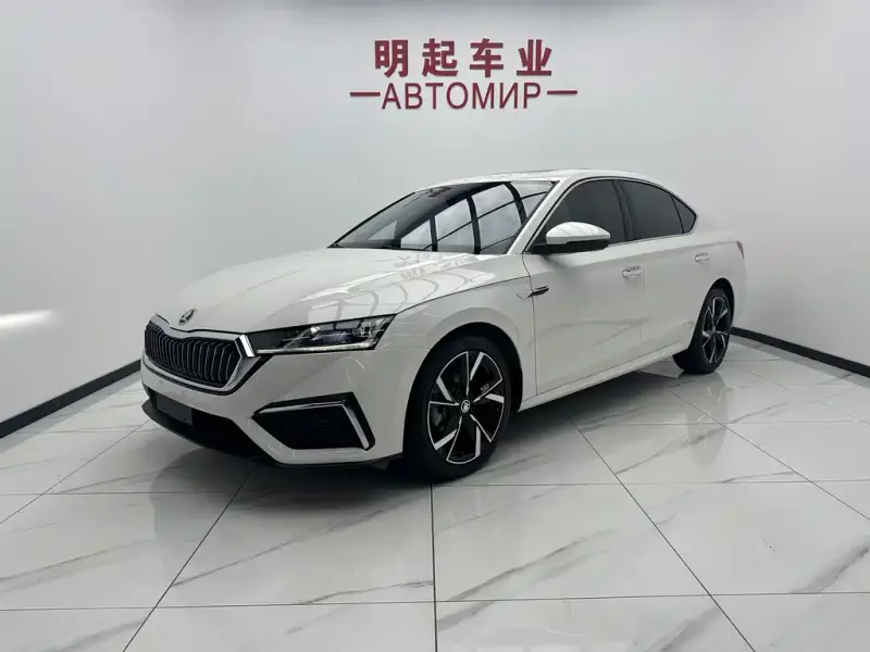 Skoda Octavia, 2023 — фото 1