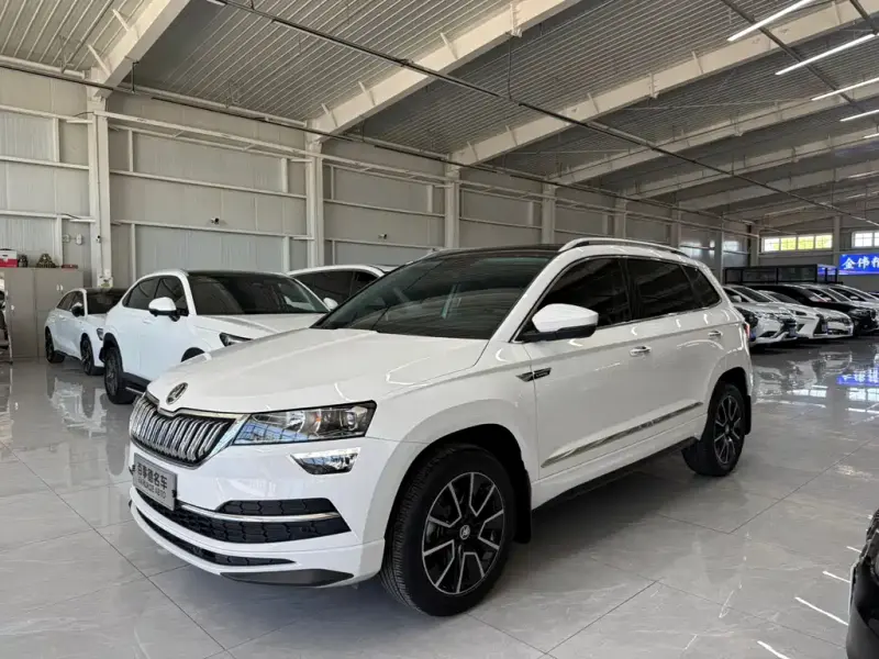 Skoda Karoq, 2023