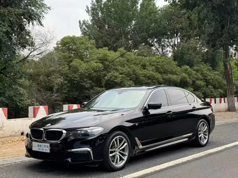 BMW 5 Series, 2019