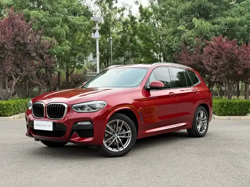 BMW X3, 2019 — фото 1