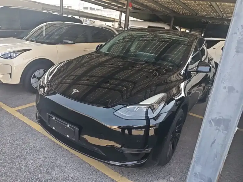 Tesla Model Y, 2021