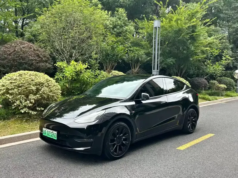 Tesla Model Y, 2021