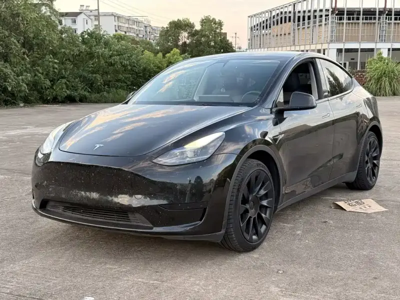 Tesla Model Y, 2022