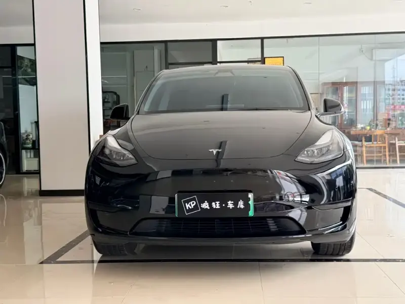 Tesla Model Y, 2022