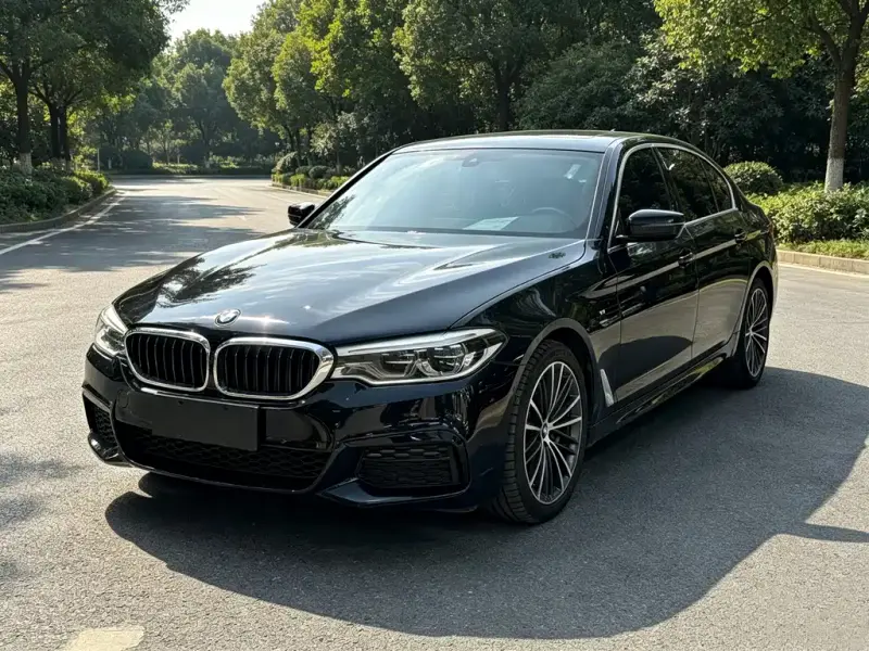 BMW 5 Series, 2019