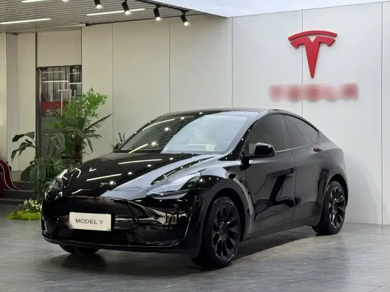 Tesla Model Y, 2022