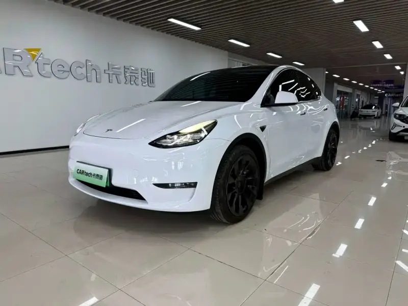 Tesla Model Y, 2021