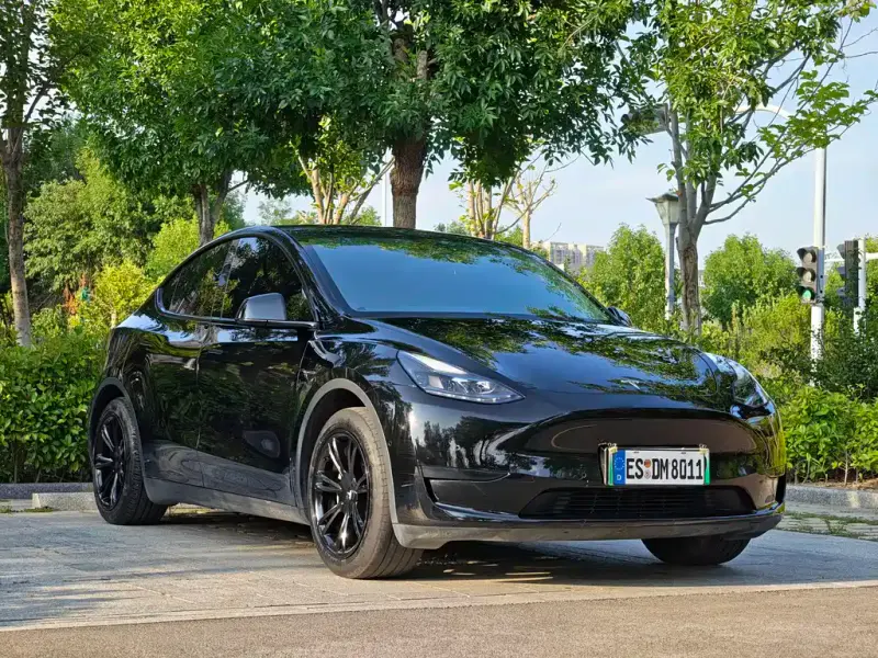 Tesla Model Y, 2024