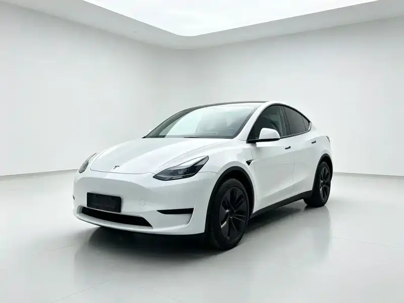 Tesla Model Y, 2024