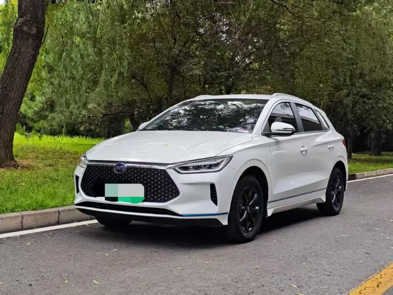 BYD e2, 2019