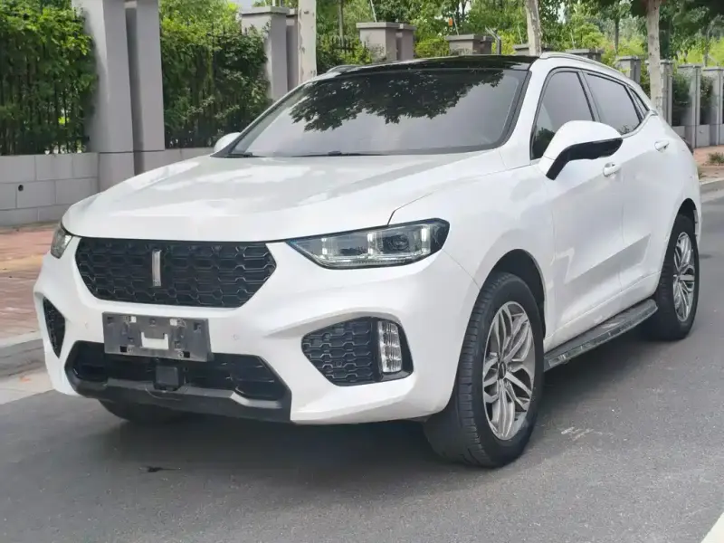 Wey VV5, 2019